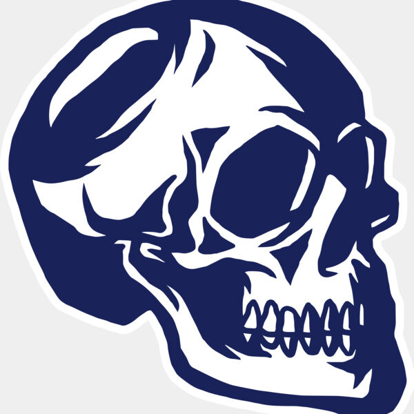 Elements Skulls logo template 139 Miniaturansicht