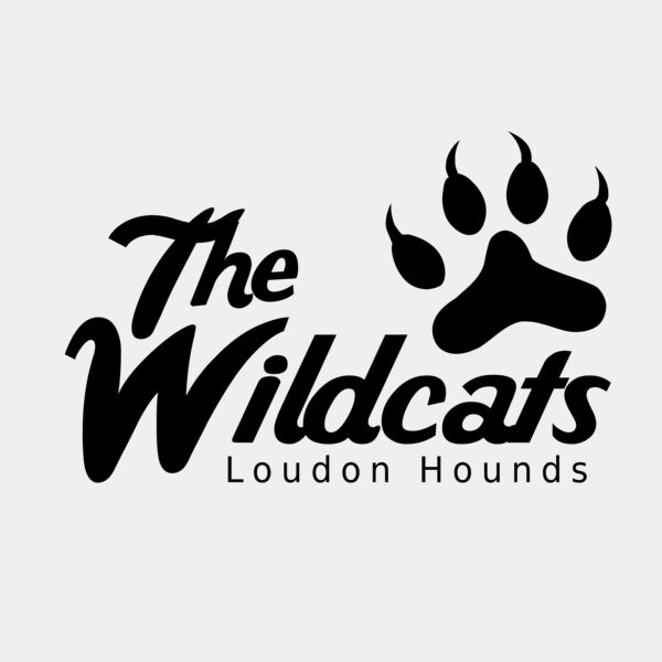 School Wildcats 01 Miniaturansicht