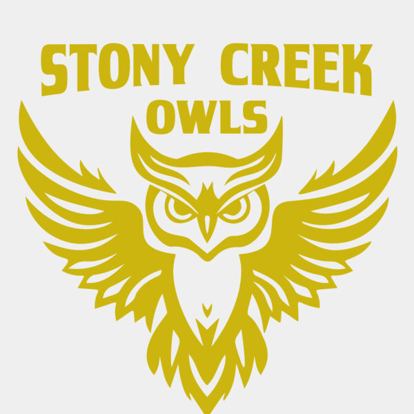 School Owls 04 Miniaturansicht