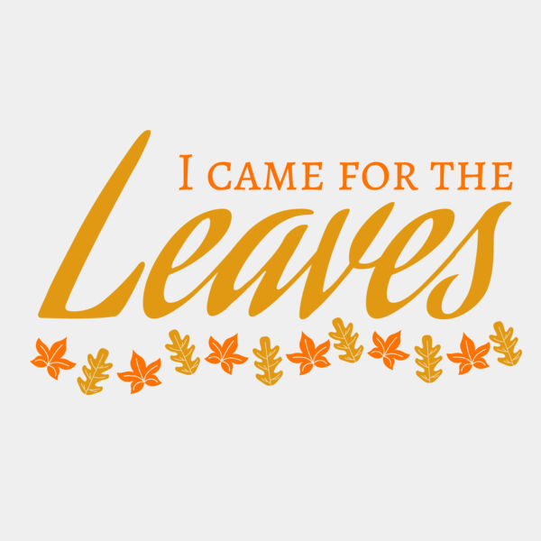 Fall Season 28 Miniaturansicht