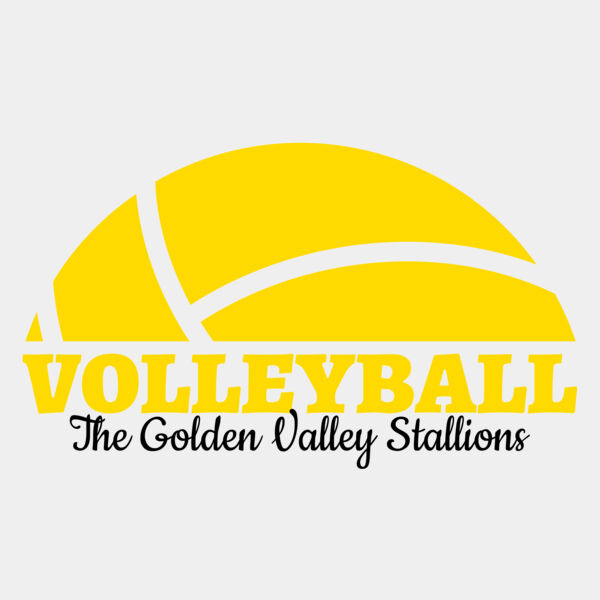 Volleyball 40 Miniaturansicht