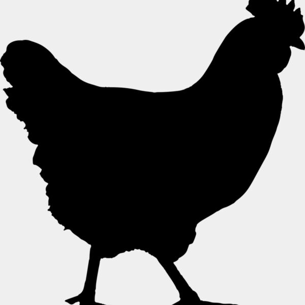 Chicken   Clipart 1 Miniaturansicht