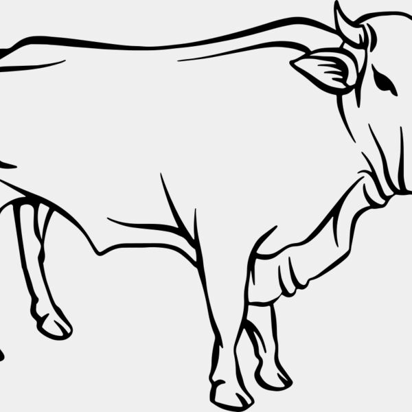 Cow   Clipart 2 Miniaturansicht