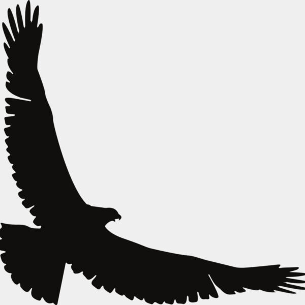 Eagle   Clipart 2 Miniaturansicht