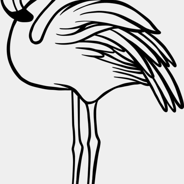 Flamingo   Clipart 1 Miniaturansicht
