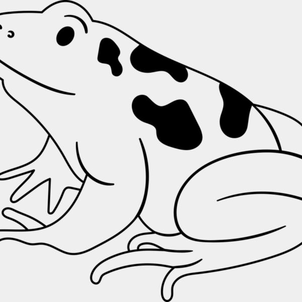 Frog   Clipart 1 Miniaturansicht