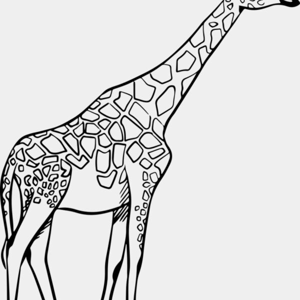 Giraffe   Clipart 2 Miniaturansicht