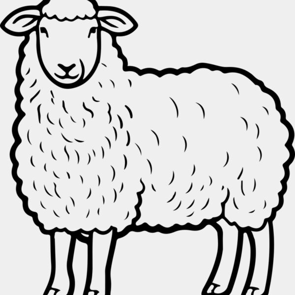Lamb   Clipart 4 Miniaturansicht