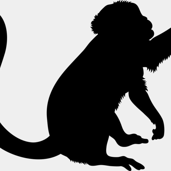 Monkey   Clipart 2 Miniaturansicht