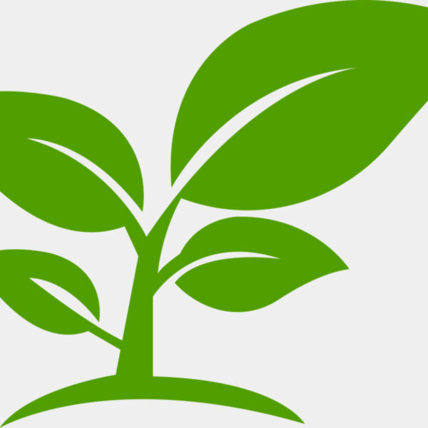 12 Leaves Miniaturansicht