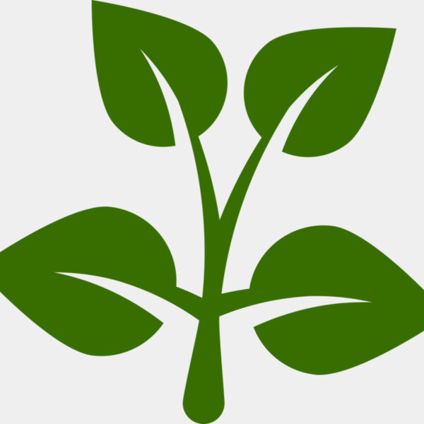 15 Leaves Miniaturansicht