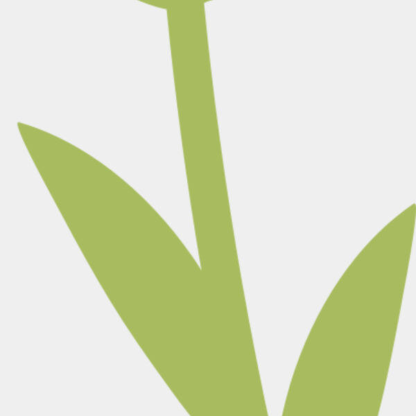 20 Flower Miniaturansicht