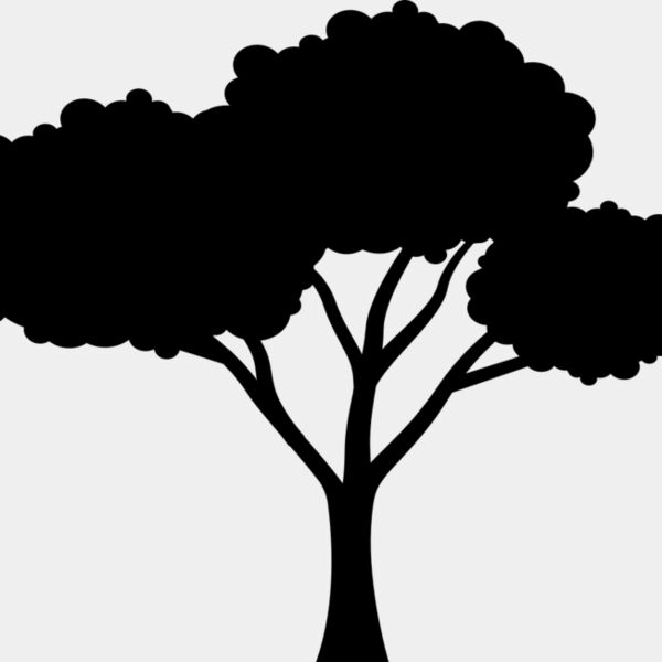 40 Tree Miniaturansicht