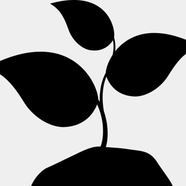 42 Plant Miniaturansicht