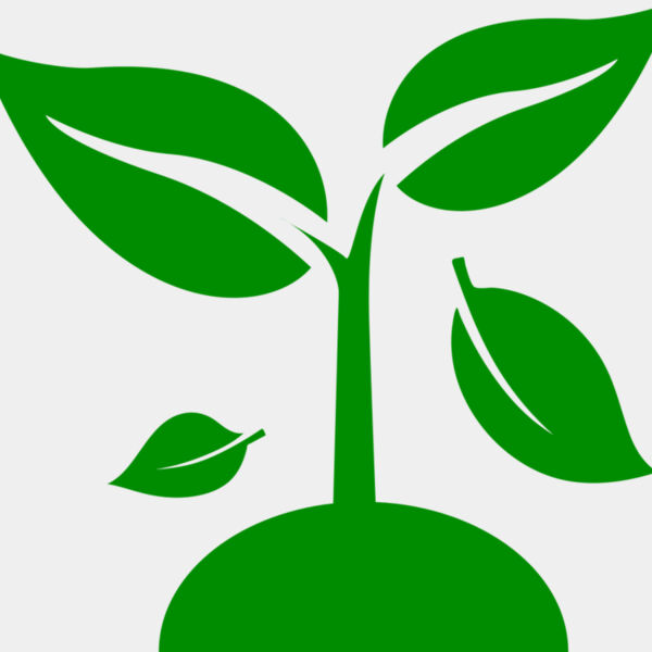 48 Plant Miniaturansicht