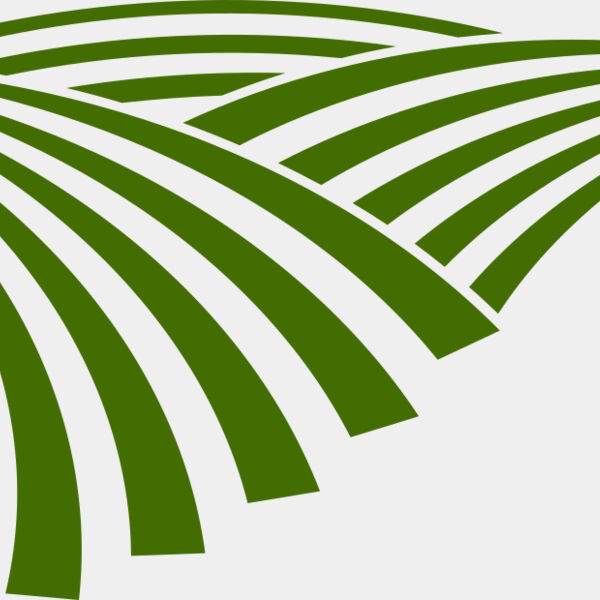 71 Rice Field Miniaturansicht