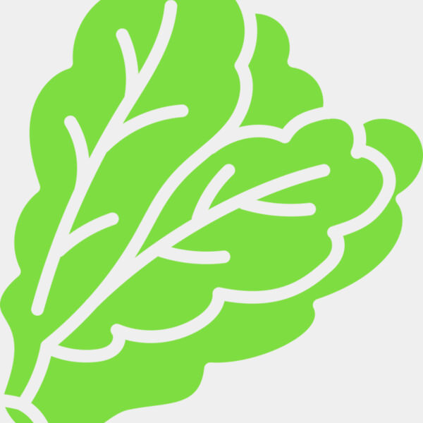Lettuce Miniaturansicht