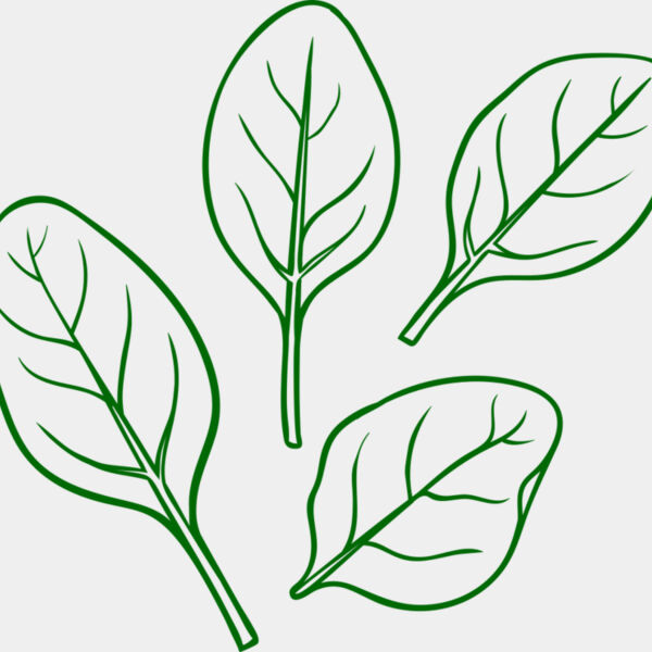 Spinach Miniaturansicht