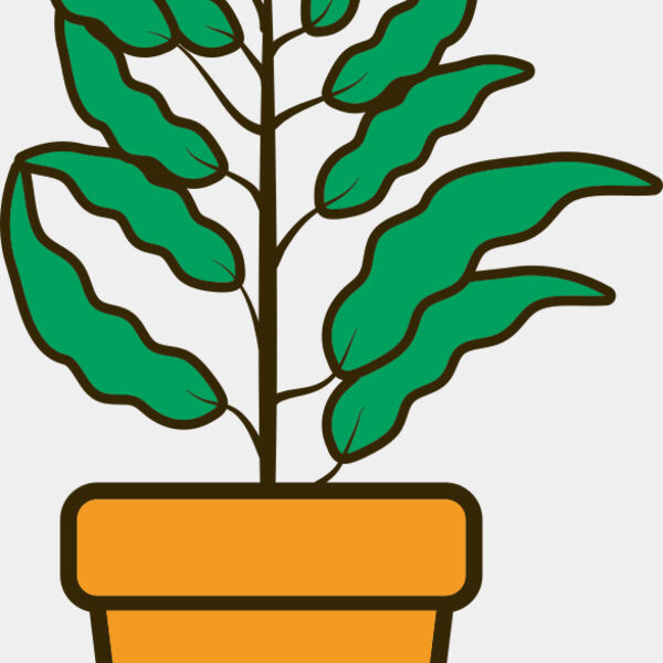 Plant 2 Miniaturansicht