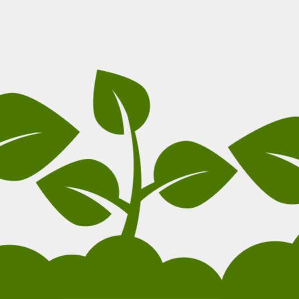 Plant Leaves Miniaturansicht