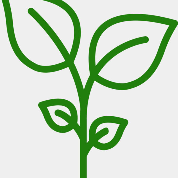 Plant Miniaturansicht