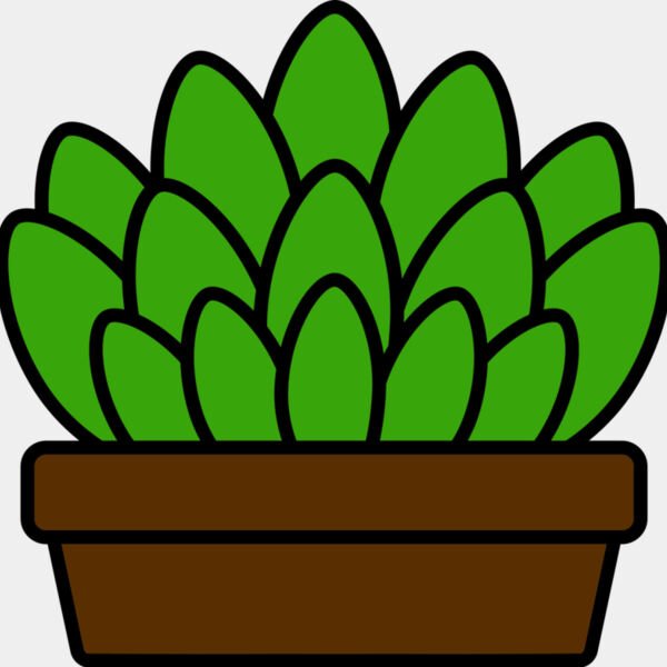 Succulent Plant Miniaturansicht