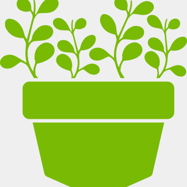 Succulent Plant 3 Miniaturansicht