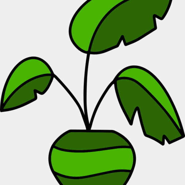 Plant Miniaturansicht