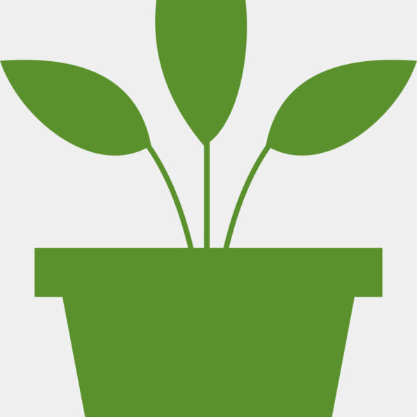 Plant 2 Miniaturansicht