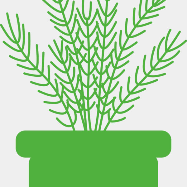 Herb Miniaturansicht
