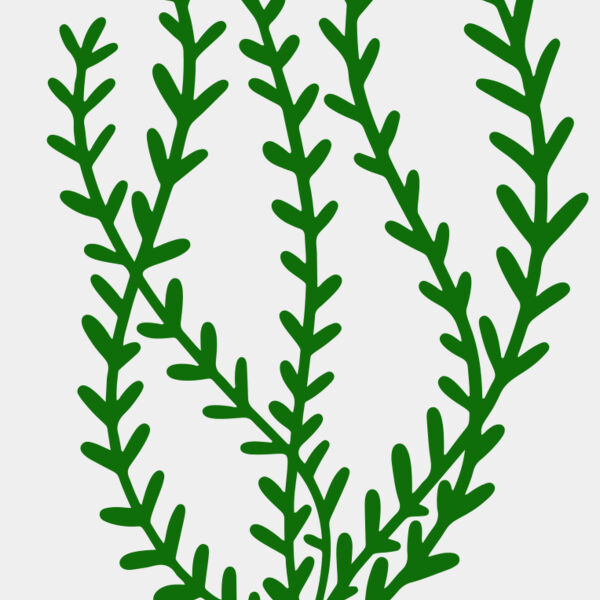 Sea Plants 3 Miniaturansicht