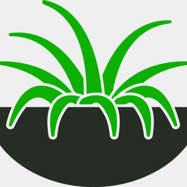 Plants 6 Miniaturansicht