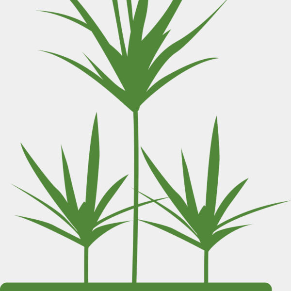Plants 5 Miniaturansicht