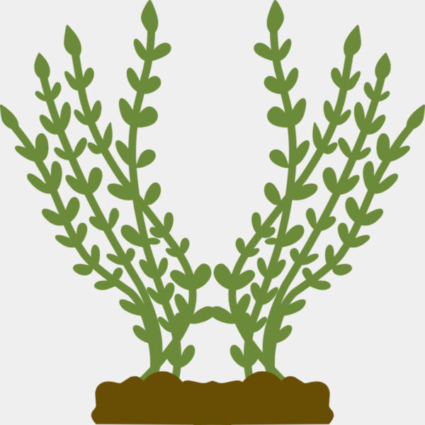 Plants 4 Miniaturansicht
