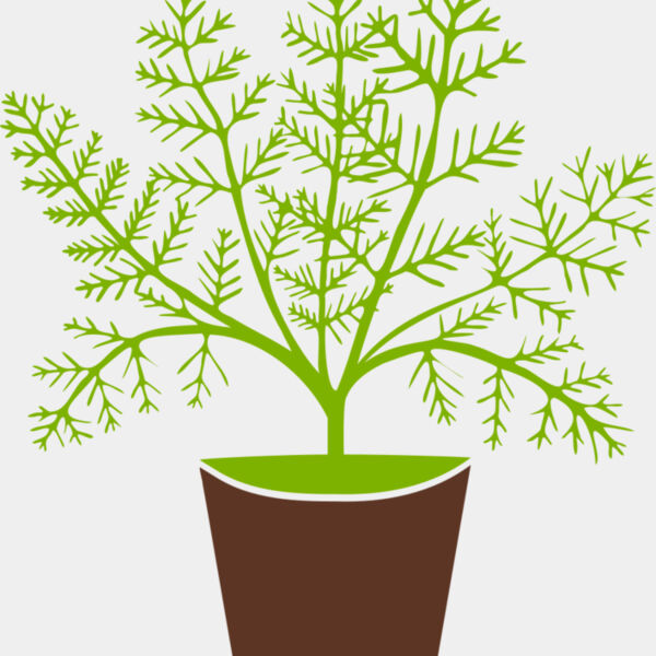 Plant Miniaturansicht