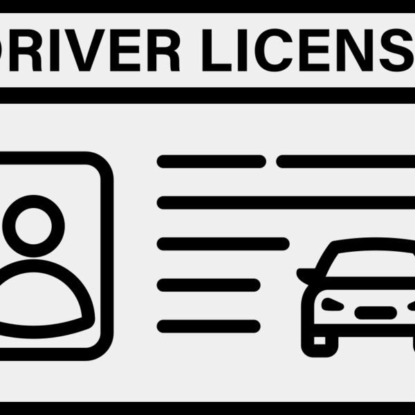 Driver s License Miniaturansicht