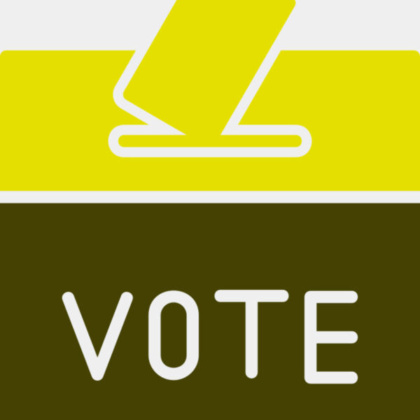 Voting 2 Miniaturansicht