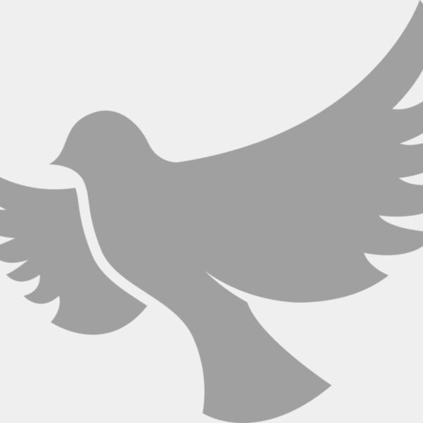 Dove Miniaturansicht