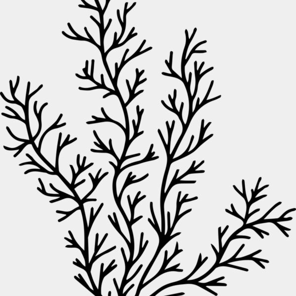 Herb Sprig Miniaturansicht