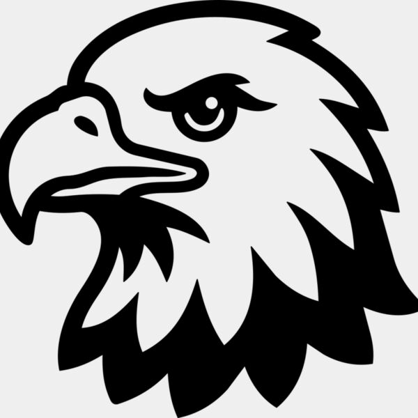 Bald Eagle Head Miniaturansicht
