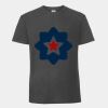 Herren T-Shirt Iconic 195 Ringspun Premium T Miniaturansicht