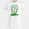Clique Basic-T Miniaturansicht