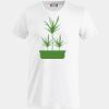Clique Basic-T Miniaturansicht