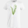 Clique Basic-T Miniaturansicht