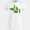 Clique Basic-T Miniaturansicht